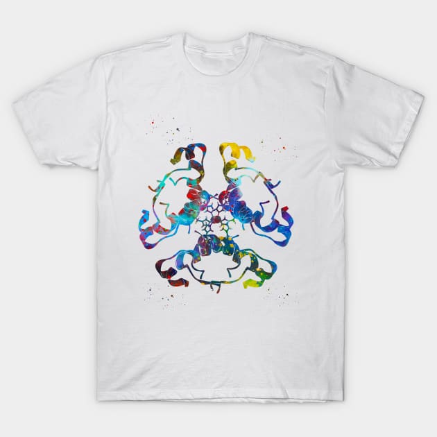 Insulin Structure T-Shirt by erzebeth